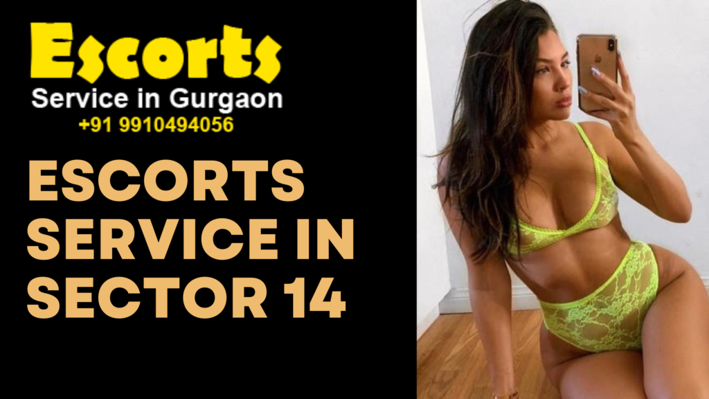 Escorts Service in Sector 14